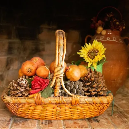 Willa Neriana - Garden Paradise