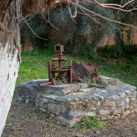 Neriana - Garden Paradise * Chania (Crete)