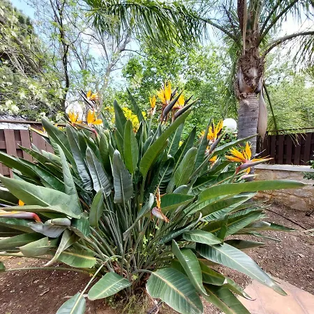 Neriana - Garden Paradise